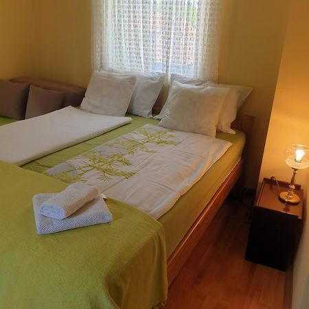 Apartman Sasa Баня-Ковиляча Экстерьер фото