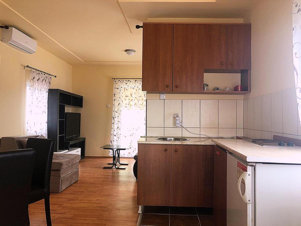 Apartman Sasa Баня-Ковиляча Экстерьер фото