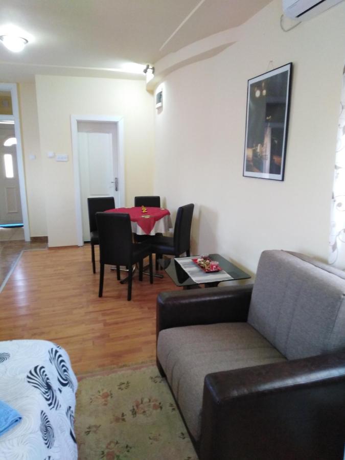 Apartman Sasa Баня-Ковиляча Экстерьер фото