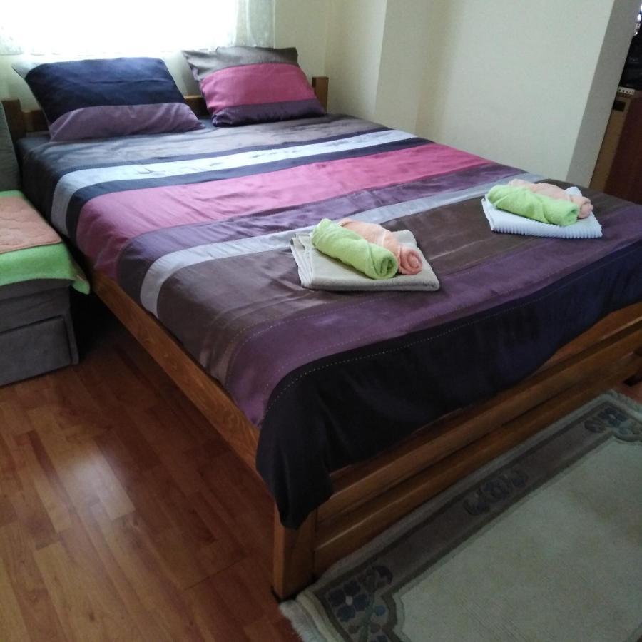 Apartman Sasa Баня-Ковиляча Экстерьер фото