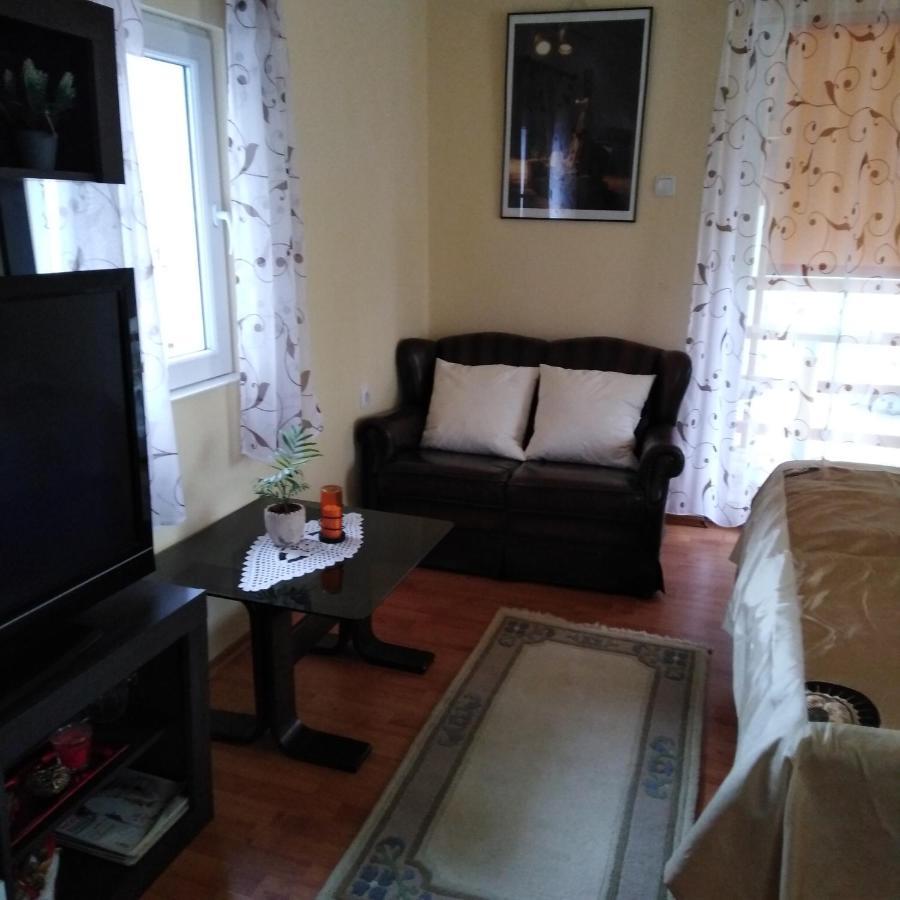 Apartman Sasa Баня-Ковиляча Экстерьер фото