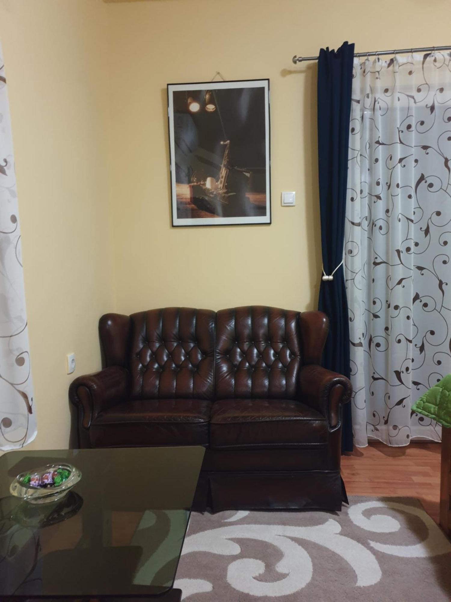 Apartman Sasa Баня-Ковиляча Экстерьер фото